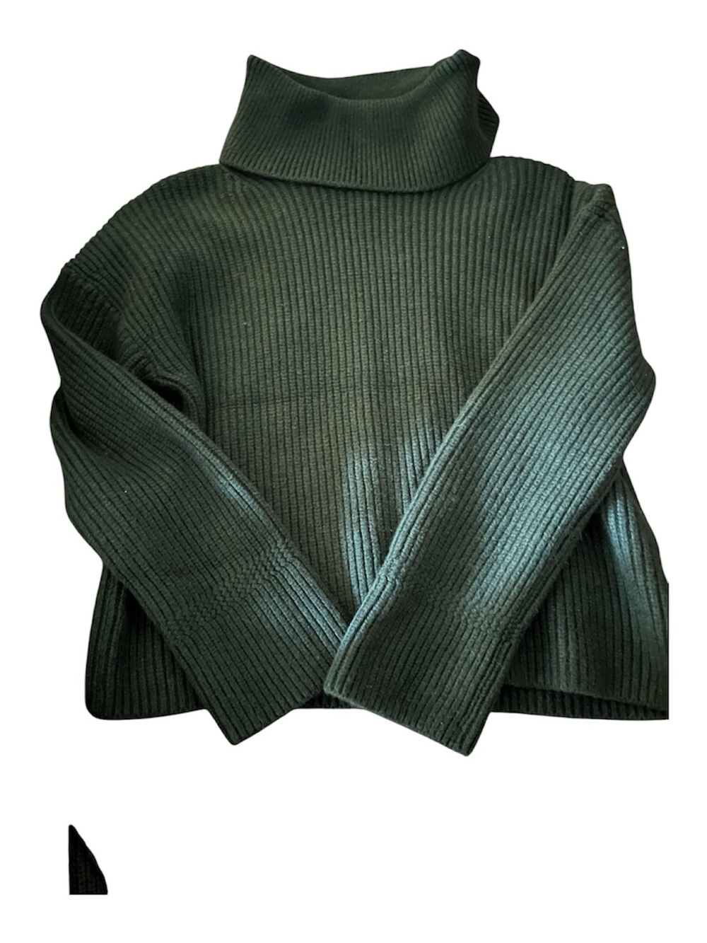 Banana Republic Olive Ribbed Turtleneck Sweater